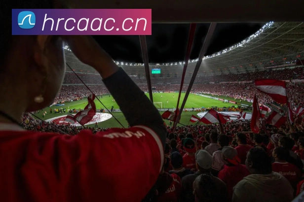 多媒体互动体验